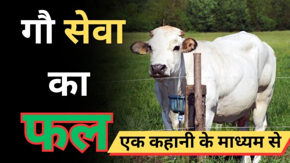 गौ सेवा का फल